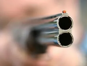 В Пушкино владелец коттеджа отстреливался от киргизских кочевников