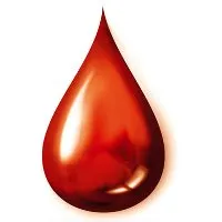 Украина. Майдан. Мразь хочет крови