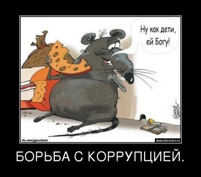 Как бороться с полицией ?