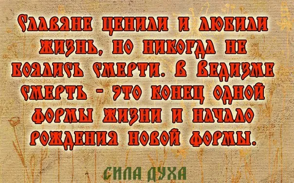 Критика концепции Шемшука