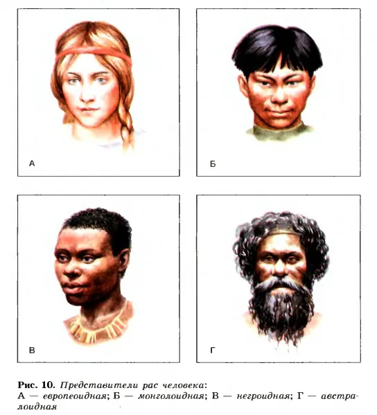 Расы Земли. Наше общее будущее