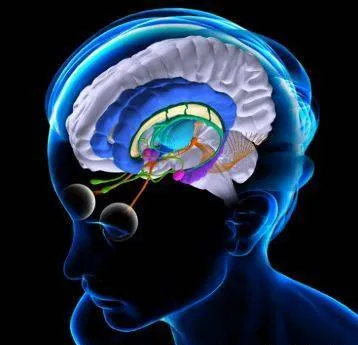 Человек со стороны: Желание