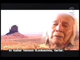 Пророчество Индейцев Хоппи. Время очищения, время обновления.