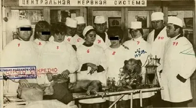 Крах новиопской концепции изначальной порочности русской цивилизации и бесконечной вины русского народа перед остальным человечеством