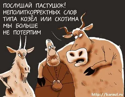 Уроки толерантности на ТНТ