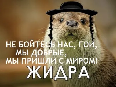 Русы, мы пришли с миром… впустите, подвиньтесь, отодвиньтесь, пошли вон