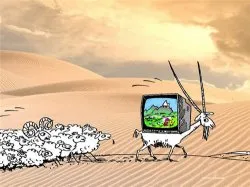 Текущая ситуация на Украине. Факты. Тенденции. Ощущения. Главный враг.