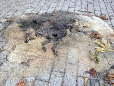 Разрушения Славянска