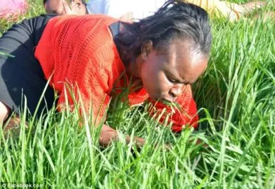 Проповедник призвал паству съесть церковный газон, чтобы приблизиться к Богу