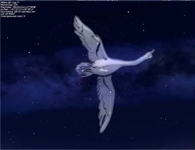 В чём различие между понятиями ВЕДА и ВЕДЫ