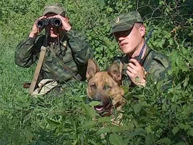 Происходят боестолкновения армий России и Украины на российской территории