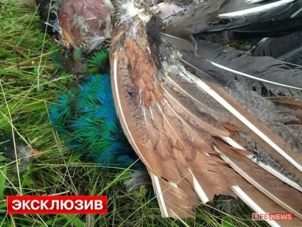 Летучий голландец из ЦРУ