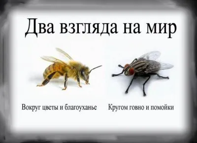 Разница в миропонимании и мировосприятии. Учимся зрить в корень. ОЧЕНЬ ЖАРКИЙ ЭФИР.