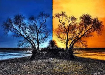 Разница в миропонимании и мировосприятии. Учимся зрить в корень. ОЧЕНЬ ЖАРКИЙ ЭФИР.