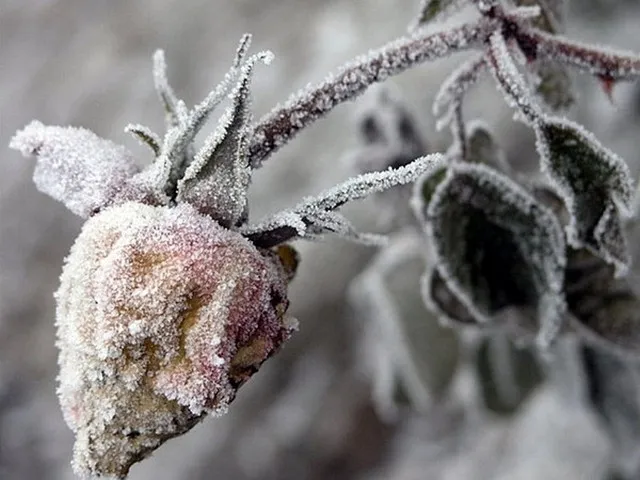 О технологиях убийства души