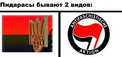 Человеконенавистническое, антифашистское движение Украины против русских