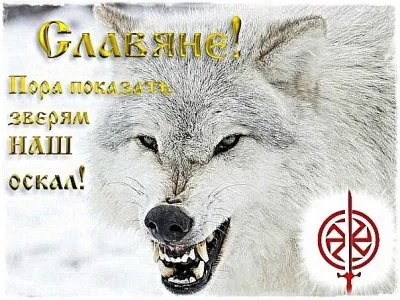 Поздравление с Новым годом от казаков ЛНР