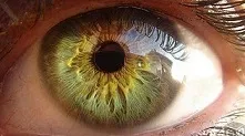 Обращение к Белым Зеленоглазым девушкам и к Белым Зеленоглазым мужчинам, потомкам х'Арийцев.