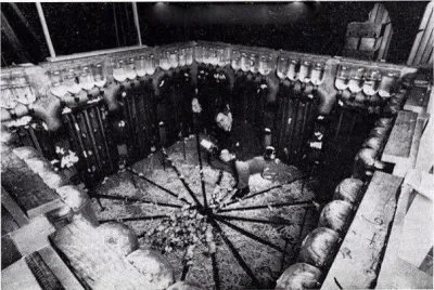 Проблема перенаселения больших городов. Ад и рай мышиной «вселенной»