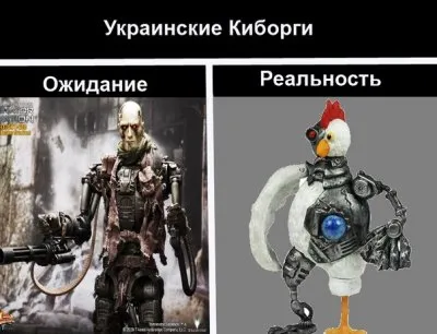 Обзор боёв за Новороссию от 19 января 2015 г.