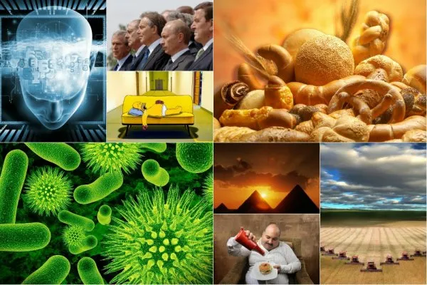 Место хлеба. Программы цивилизации