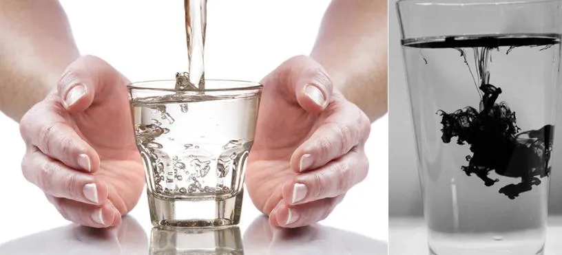 Митрадор: Мир СветТел