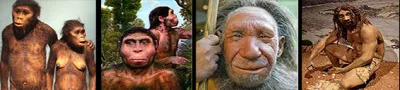 О Создателях человечества на планете Земля!