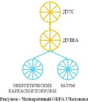 Уроки ДУХА № 2. ОБРАЗЫ энергетических КАРКАСОВ и ПОКРОВОВ тела Человека