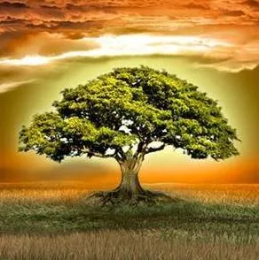 Уроки ДУХА № 4. Обряд принятия памяти РОДА