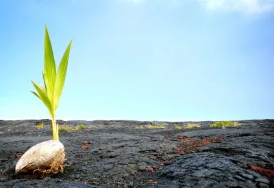 Живая беседа о Жизни