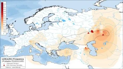 Прародина индоевропейцев на Русской равнине подтверждена генетически