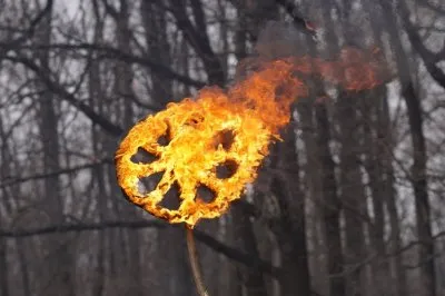 Празднование Масленицы в день весеннего равноденствия в Воронеже