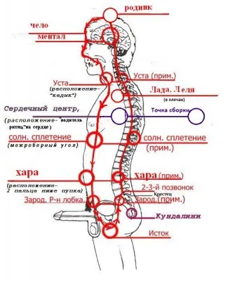 Бабай: Самая простая схема энергетического строения человека