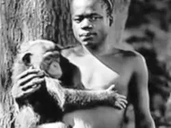 Эволюционизм = фашизм