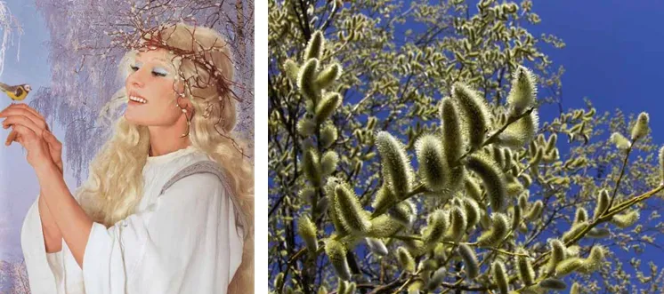 Русский славянский праздник Вербохлёст!