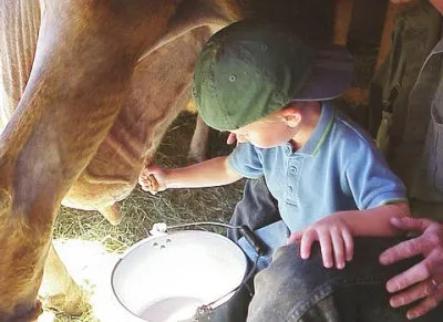 Правда и ложь о молоке и молочных продуктах