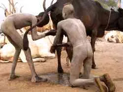 Мистрали: национализация активов кидал из банановой Франции