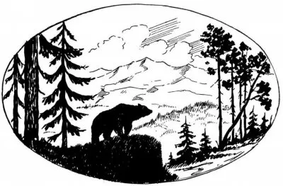 Америка и Россия: настоящее