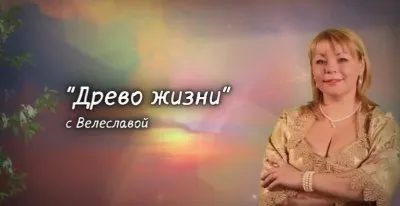 Древо Жизни - Арина Веста