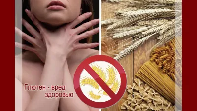 Эссе о хлебе + Змей Горыныч и Микробиология