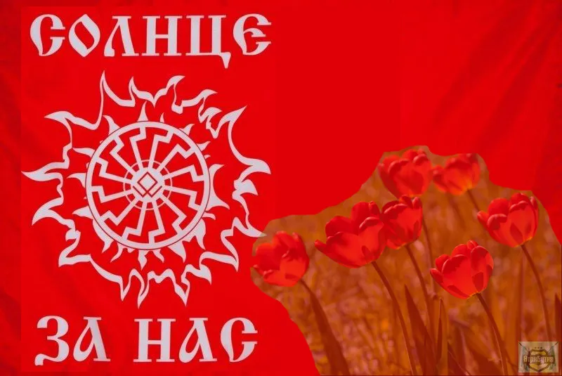 PRO и СONTRA: МОИ МАЙСКИЕ ВПЕЧАТЛЕНИЯ