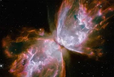 До рождения и после смерти, воспоминания очевидца (Анонс эфира 3 июля 2015 года)