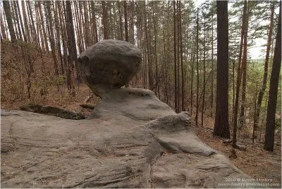 Древние останцы. Каменный лес в Самарской Области