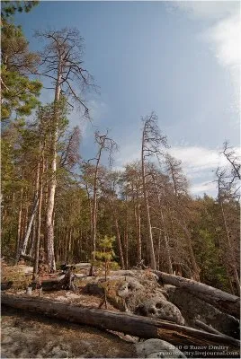 Древние останцы. Каменный лес в Самарской Области