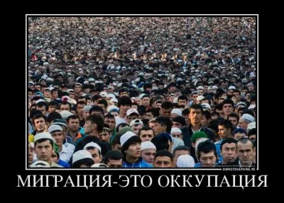 НАШЕСТВИЕ МИГРАНТОВ - ЭТО КОЛОНИАЛИЗМ.