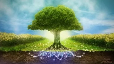 Секреты строительства Предков