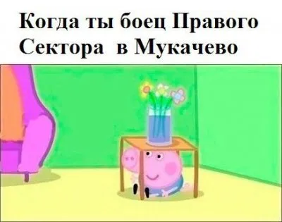 Украинские олигархи начали зачищать правосеков