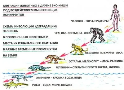 Религиозные корни дарвинизма: Кто вместо Бога у эволюционистов?