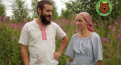 Секреты заготовки и ферментации Иван-чая