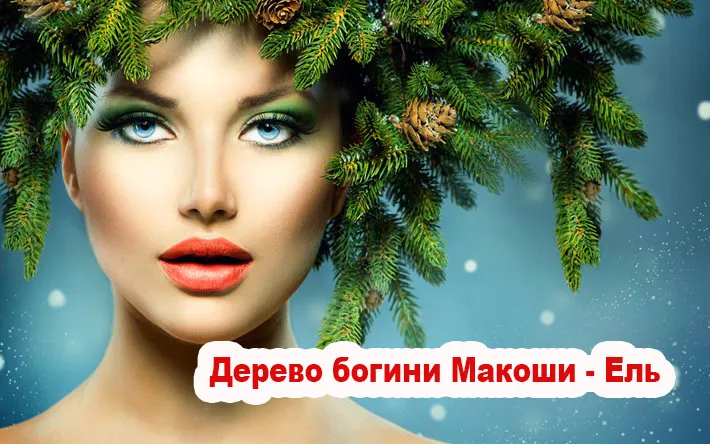 Священные деревья Славян: Дерево богини Макоши - Ель